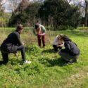Yuverta-llo-blog-europese-herkenning-van-diplomas Europese (h)erkenning van diploma's - studenten in de natuur