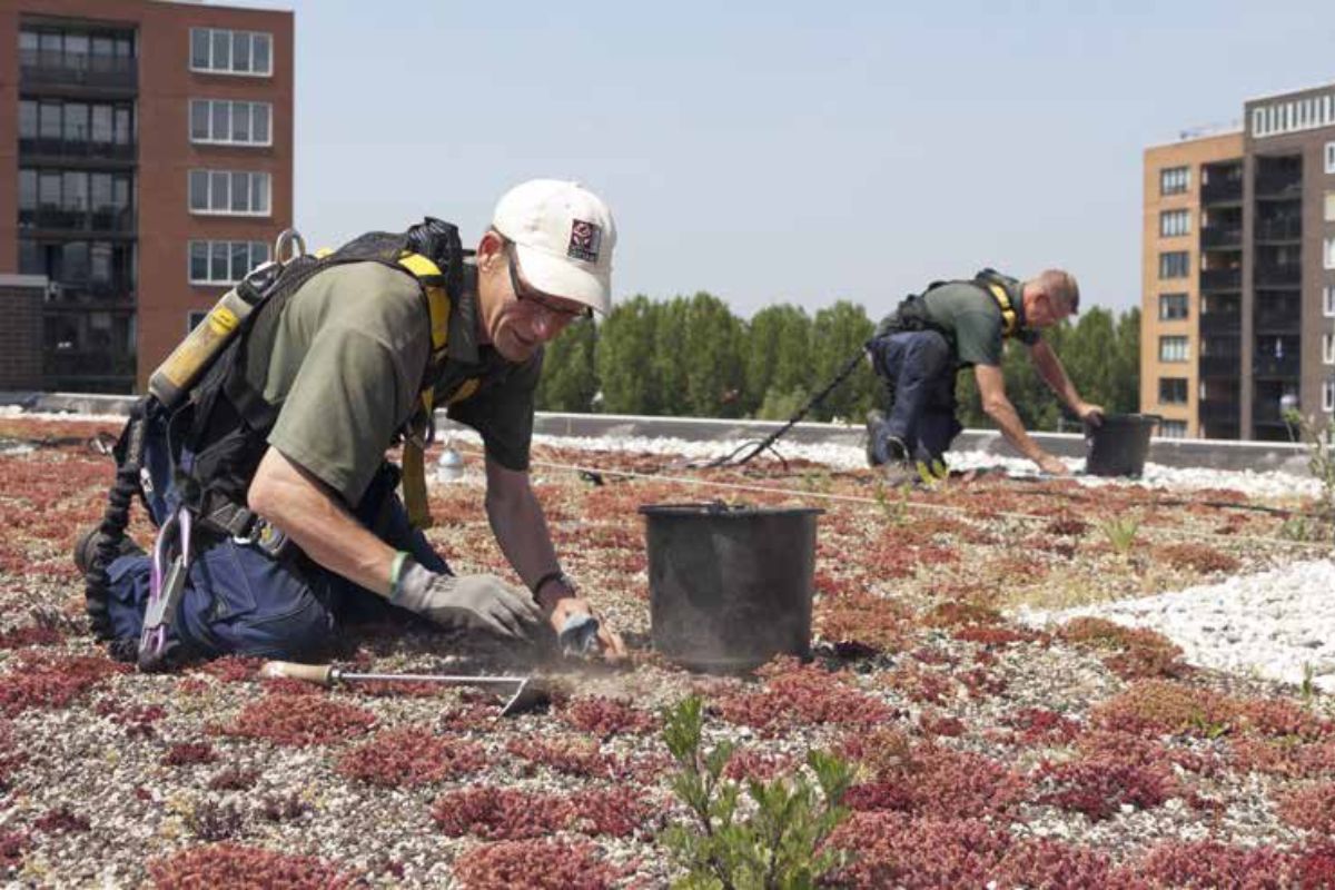 Man aan het werk op een dak - Een leven lang ontwikkelen