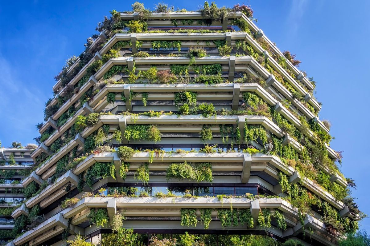 Bij de opleiding Urban Green Development komt alles samen 7 Groen gebouw - Topopleiding Urban Green Development