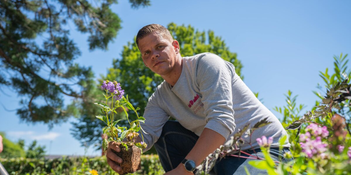 Yuverta-llo-vhg-opleidingen-hovenier-plant Man heeft een plant in zijn hand - opleidingen hovenier