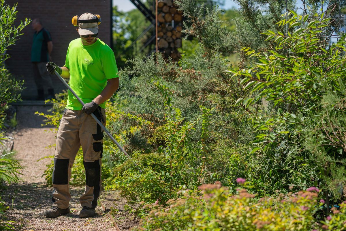 Waarom een opleiding groenvoorziening - man werkt in de tuin met schoffel